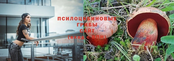 каннабис Алексеевка