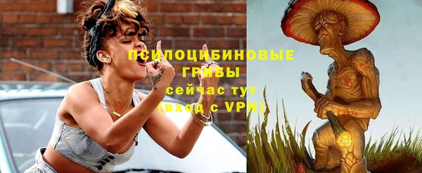 соль ск Алексин