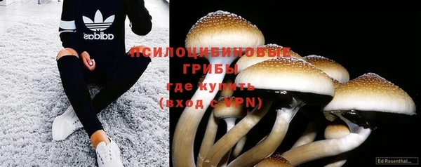 каннабис Алексеевка