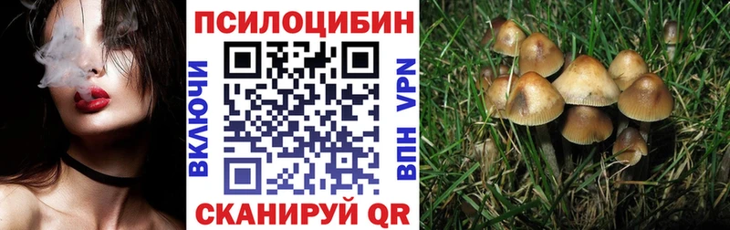 Галлюциногенные грибы Psilocybe  наркошоп  Ветлуга 